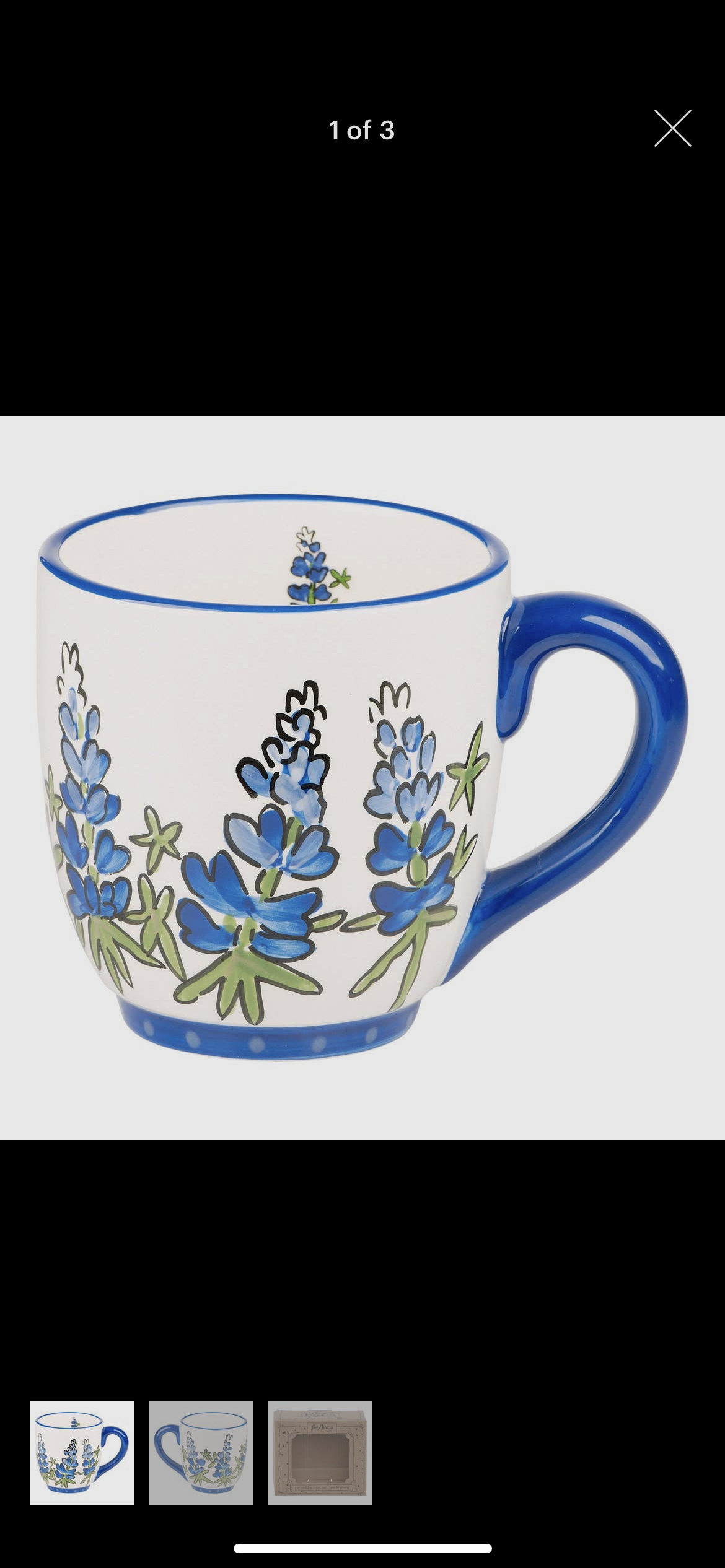 GH Bluebonnet Mug