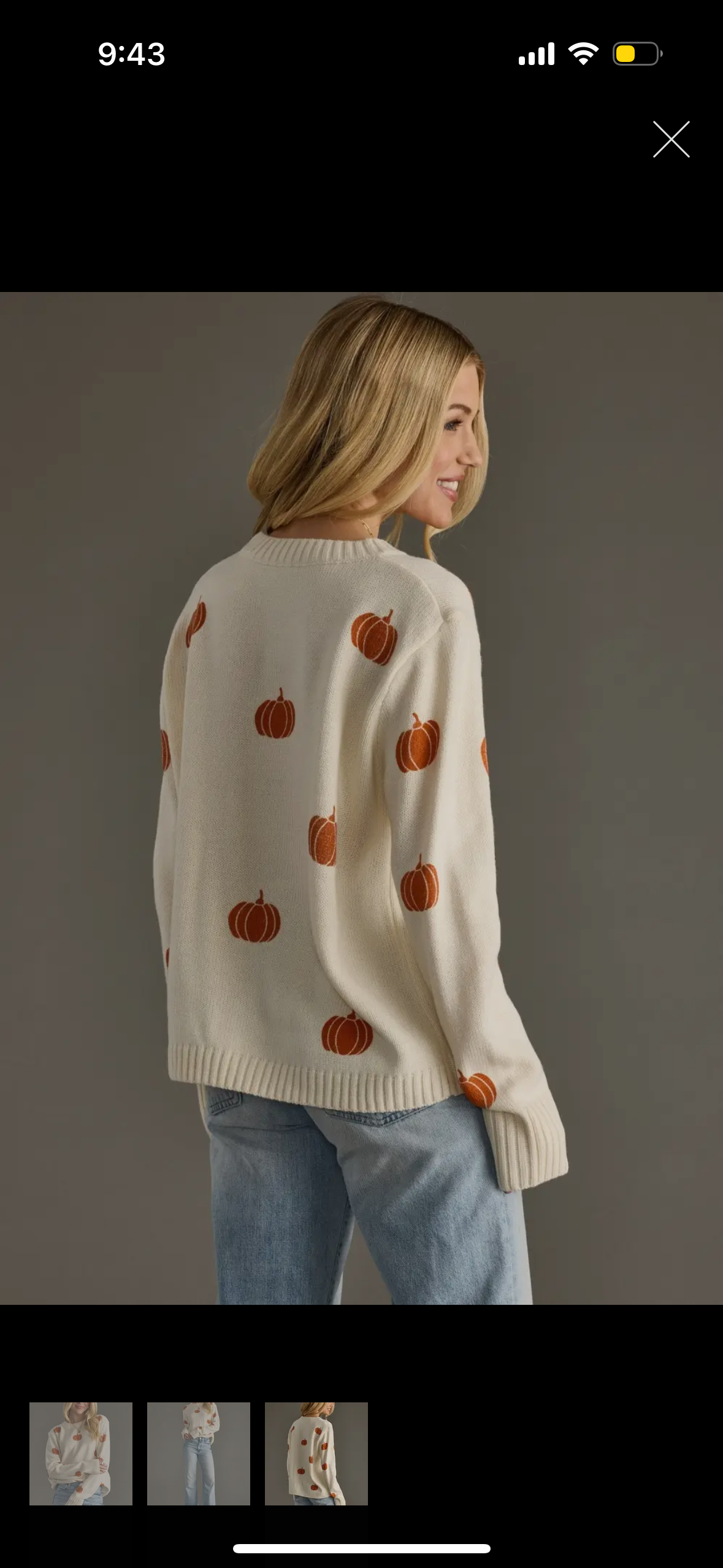 Cream Knit Sweater with Pumpkins