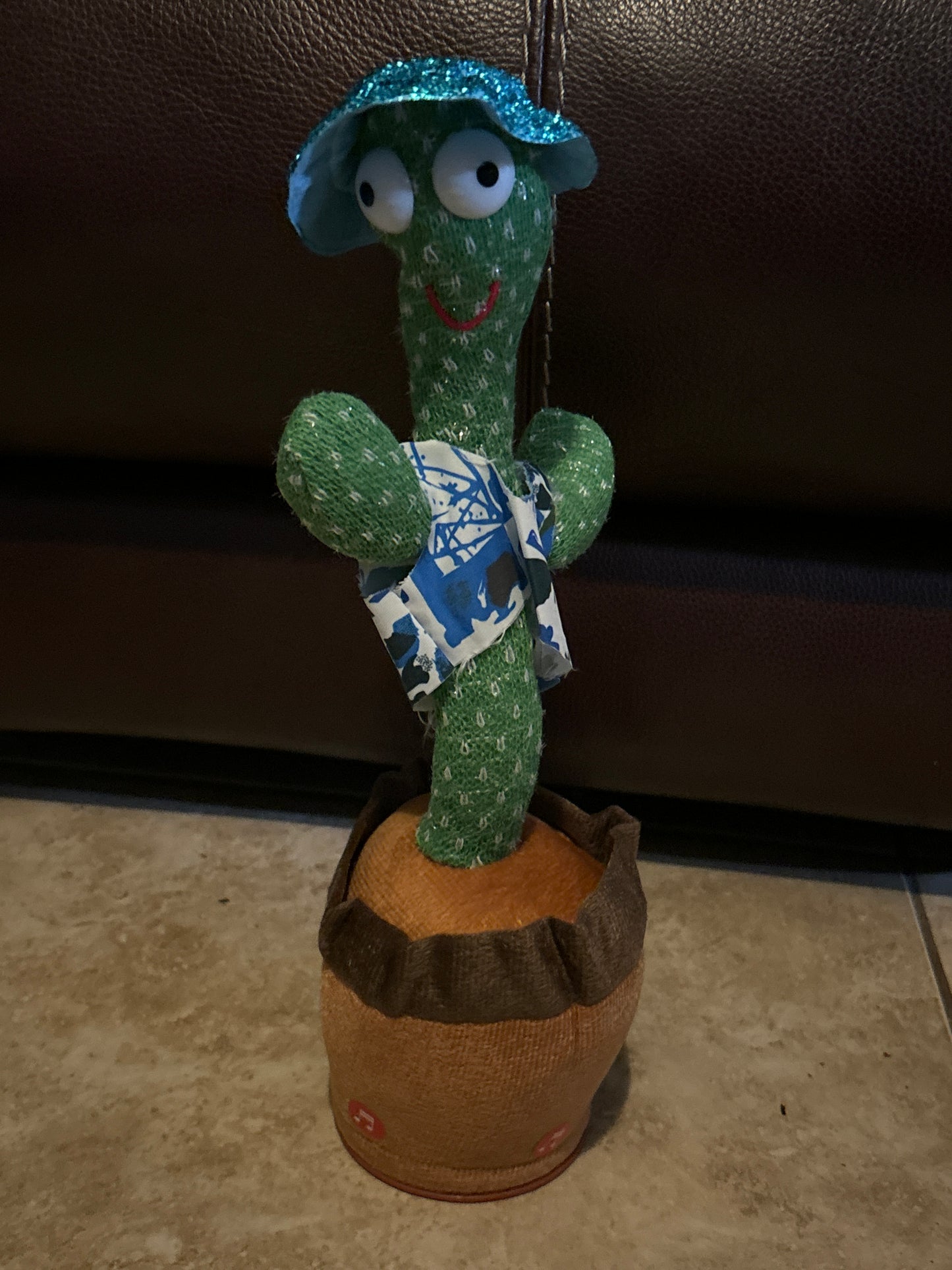 Dancing Cactus