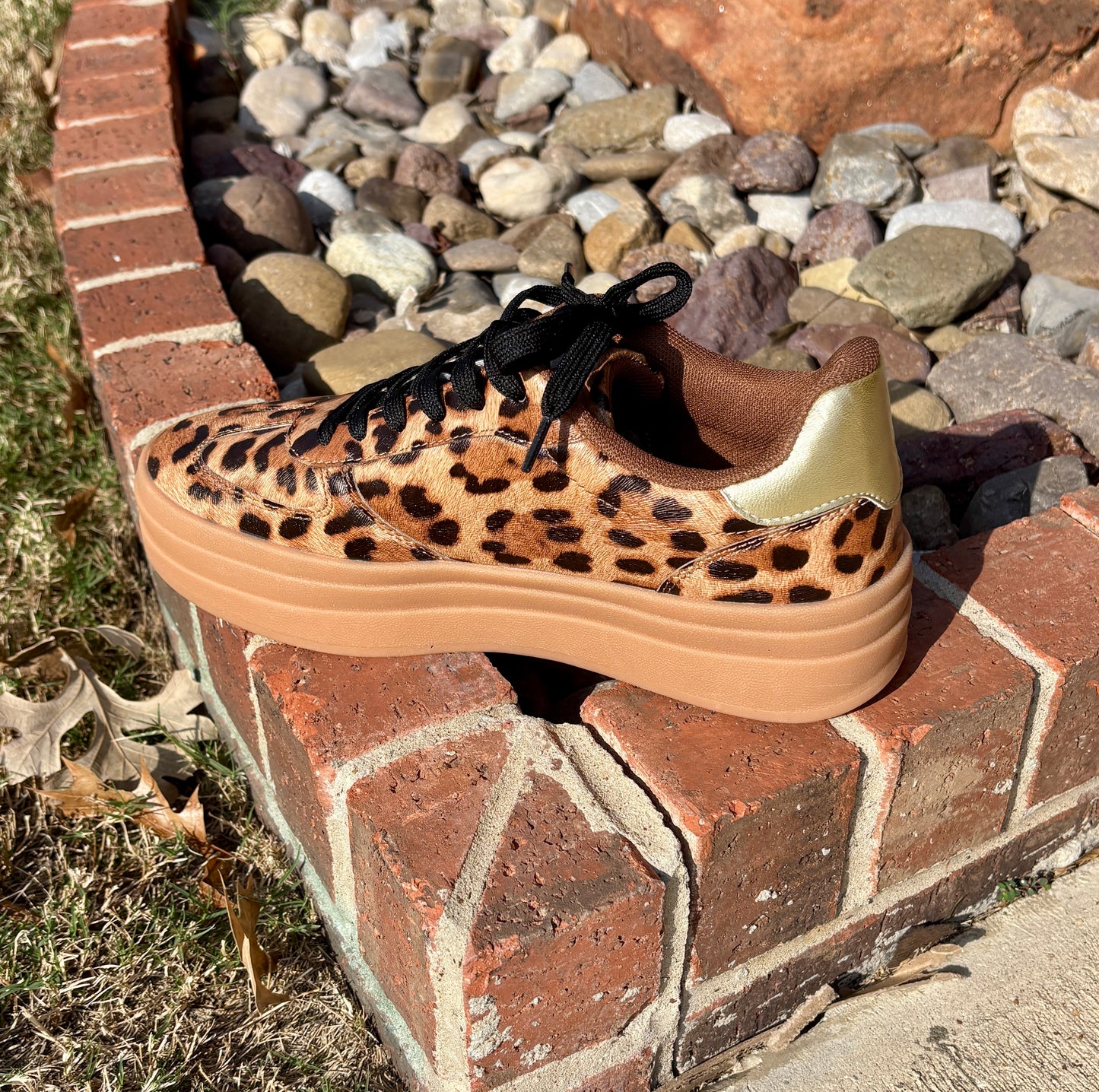 La Sheelah Leopard Tennis Shoes with Gold Accents