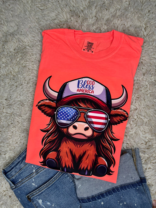 God Bless America Highland Cow Graphic Tee