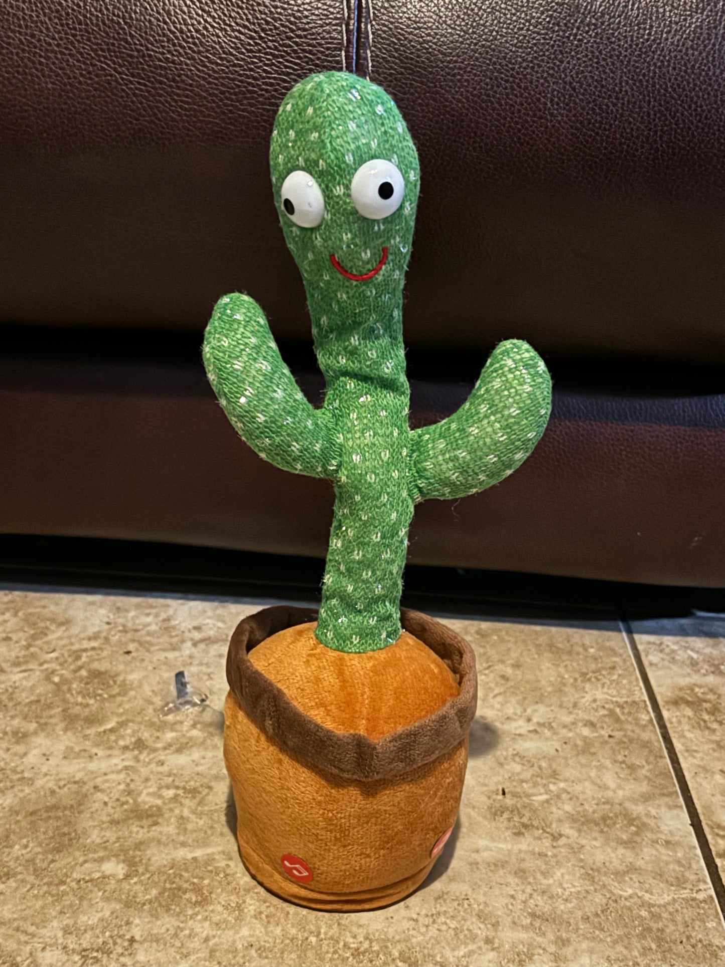 Dancing Cactus