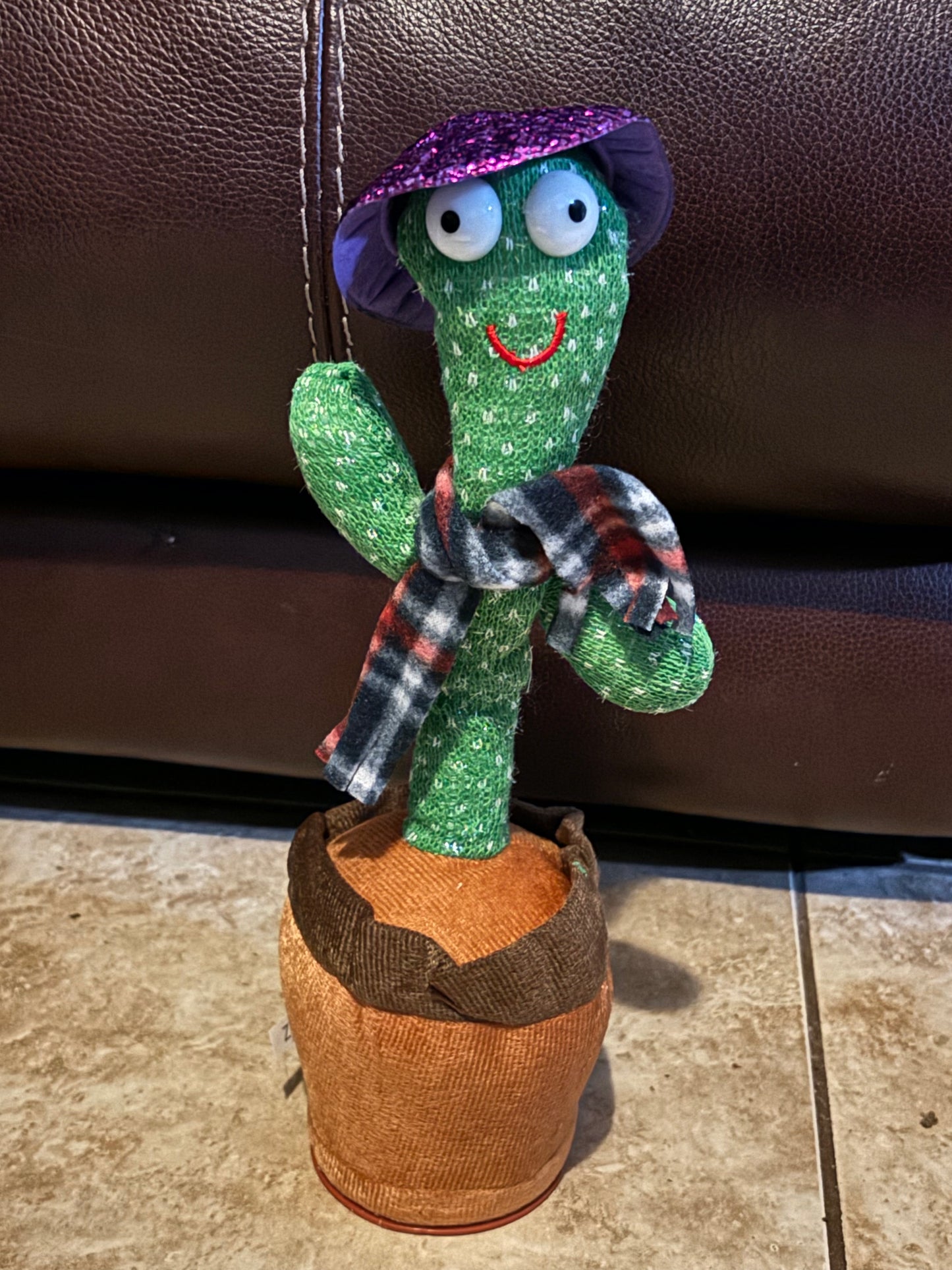 Dancing Cactus