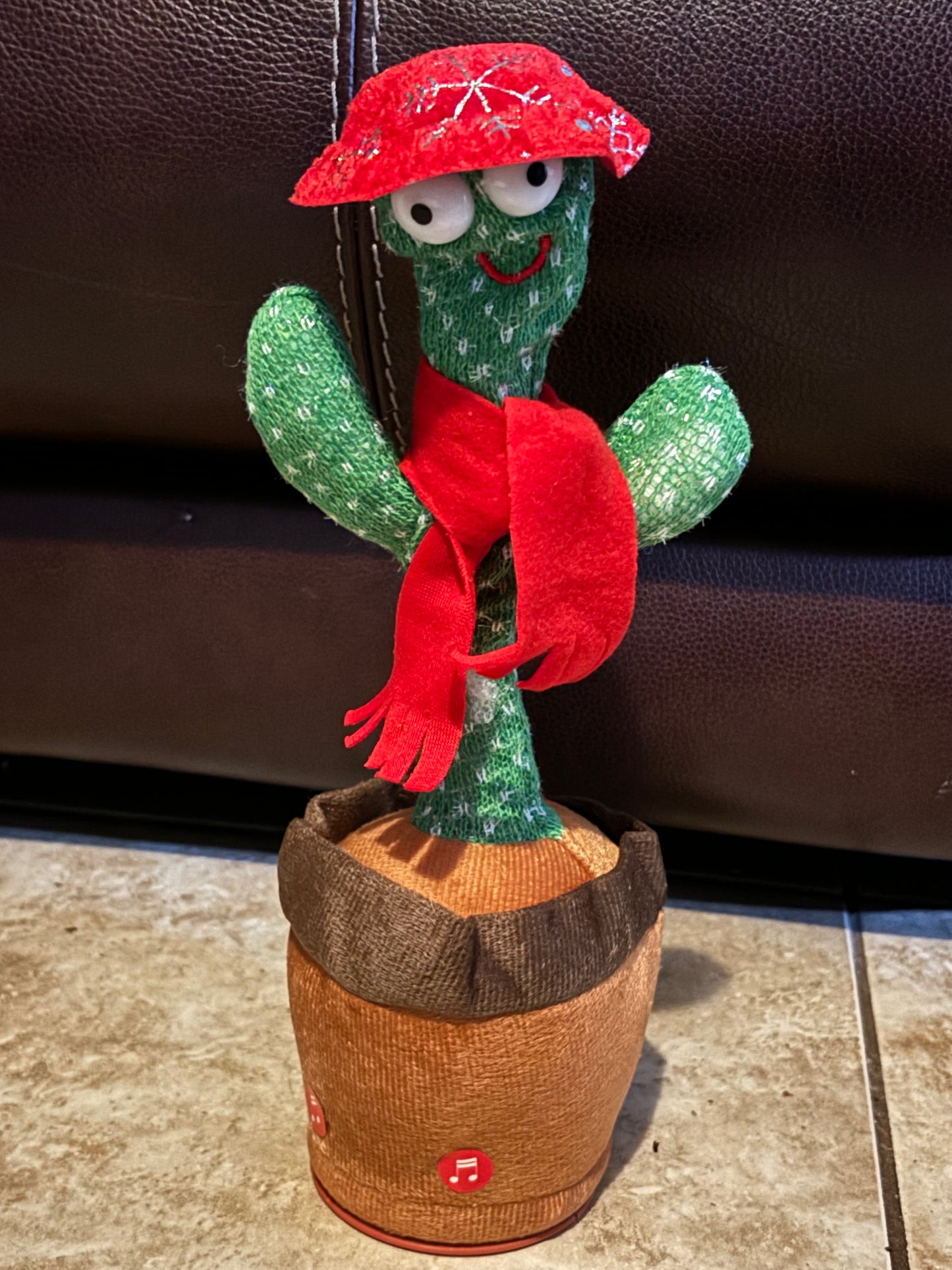 Dancing Cactus