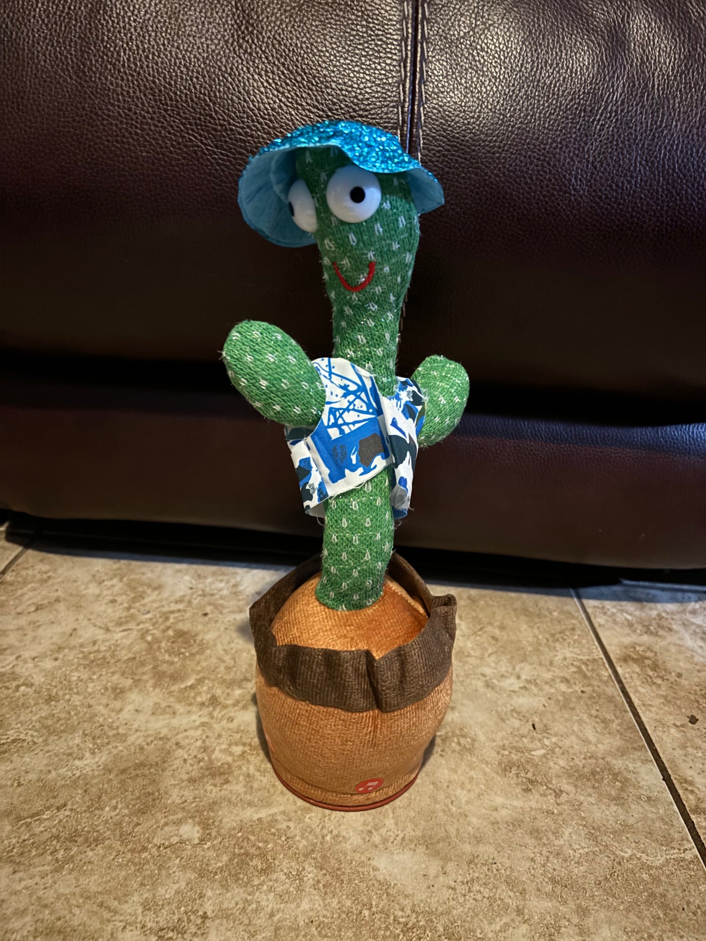 Dancing Cactus