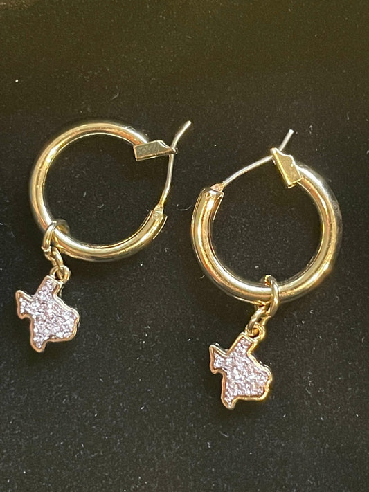 Gold Hoop Light Pink Texas Earrings